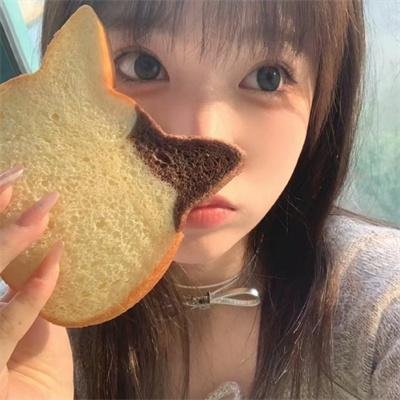 鬣狗式生存